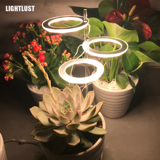 Angel Ring Grow Light